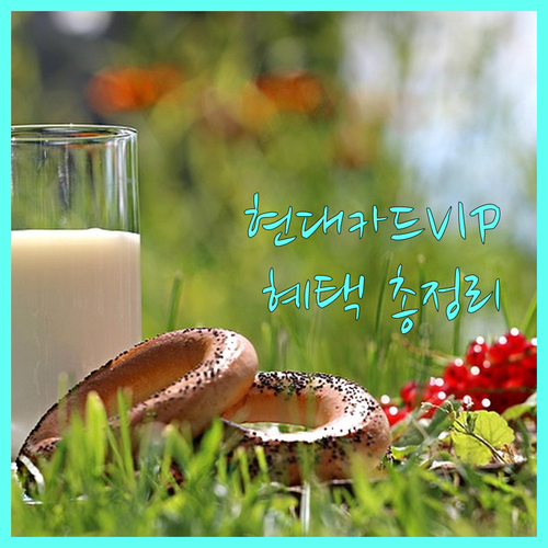 현대카드 VIP 멤버십: 등급별 혜택 및 유지 조건 상세 안내