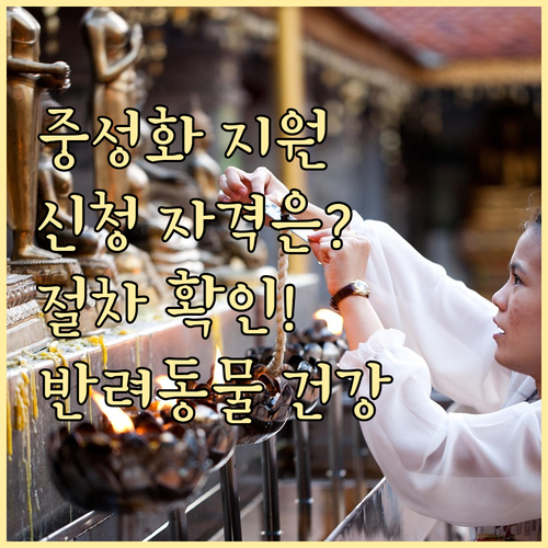 반려동물 건강 지키는 중성화 수술 지원: 신청 자격 및 절차 확인