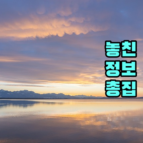 상생페이백 할부 결제, 신용카드 실적 포함 기준