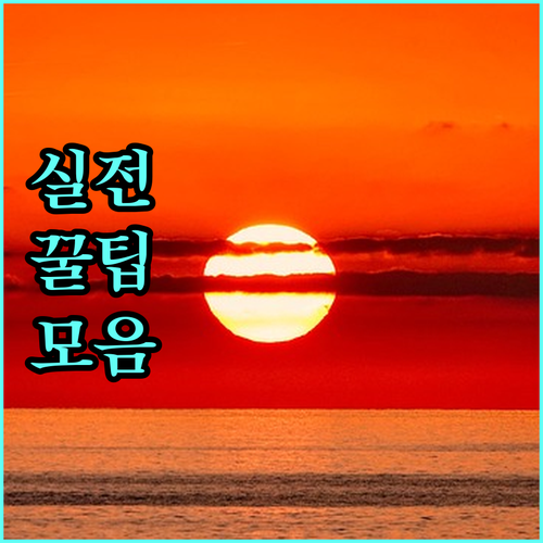 화순군 2025 출산지원금 1150만원 받기 위한 모든 정보