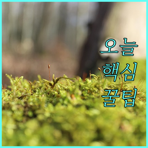 대성에너지 이곡동 도시가스 온라인 서비스 활용법