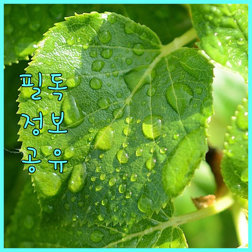 황금동 도시가스 요금 자동이체 및 납부 방법 총정리