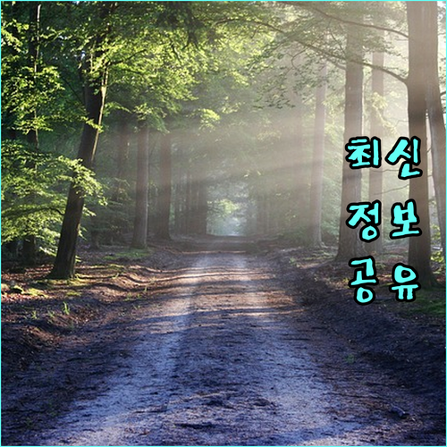 24시간 비상? 호산동 도시가스 긴급 신고 대처 요령 알아보기