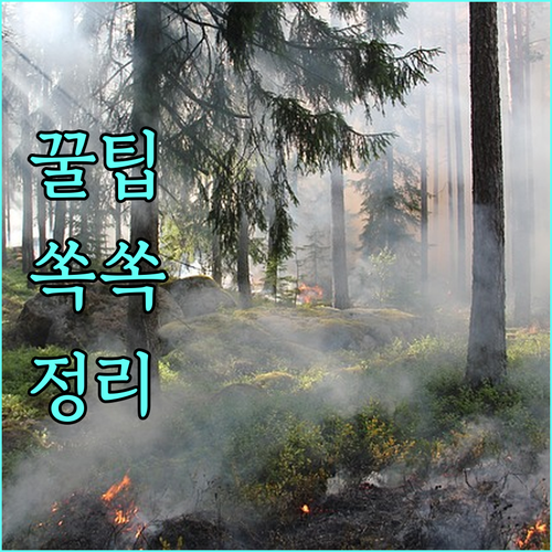 소비 늘리면 20% 페이백! 상생페이백 사용처와 주의점