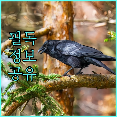 2025 대구 남구 첫째아 10만원 지원! 출산축하금 자격 총정리