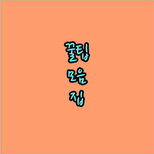 미국 ESTA 21불 인상! 공식 사이트와 신청 유의사항