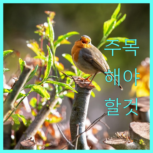 2025 위기청소년 상담 서비스 지원 대상과 신청법