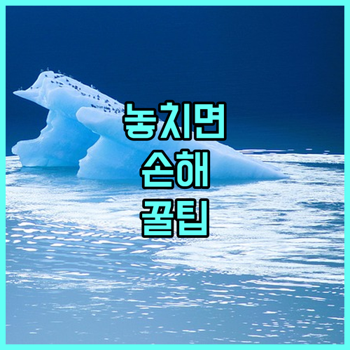 ESTA 수수료 인상! 신청 처리 시간 얼마나 걸릴까?