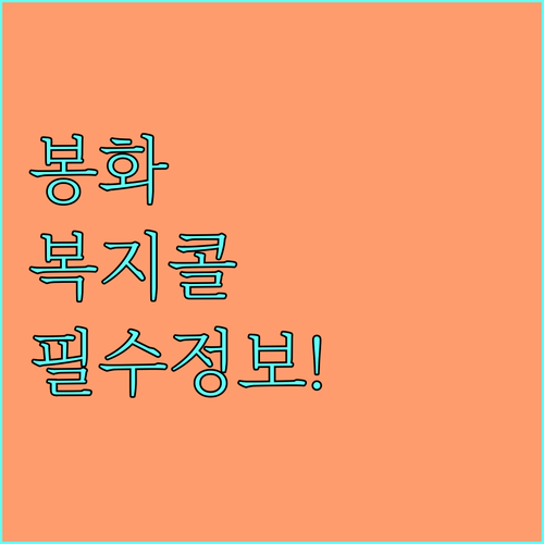 2025년 봉화군 장애인 복지콜 이용 대상과 연락처 총정리