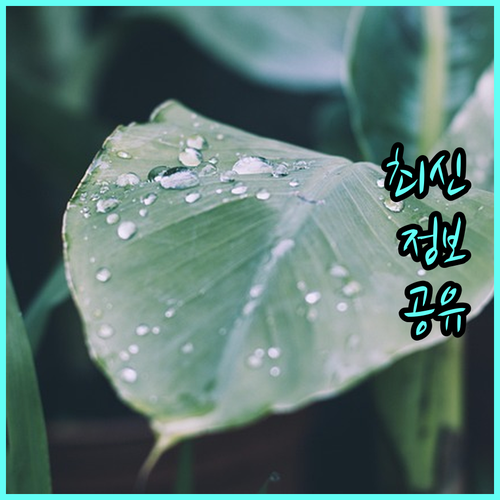 ESTA 수수료 인상, 미리 대비하고 싶은 당신을 위한 팁