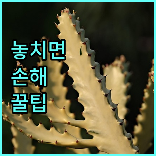 수성구 연호동 대성에너지 고객센터 사용법과 긴급 신고