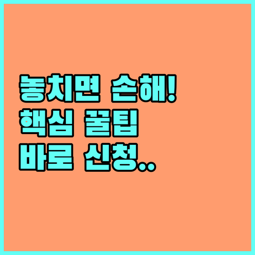 민생회복 소비쿠폰 10월 31일 마감! 신청 방법과 사용처