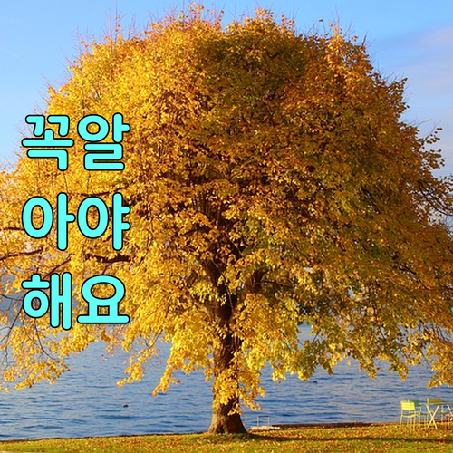 대구 수성구 노변동 도시가스 수성 서비스센터 업무 안내