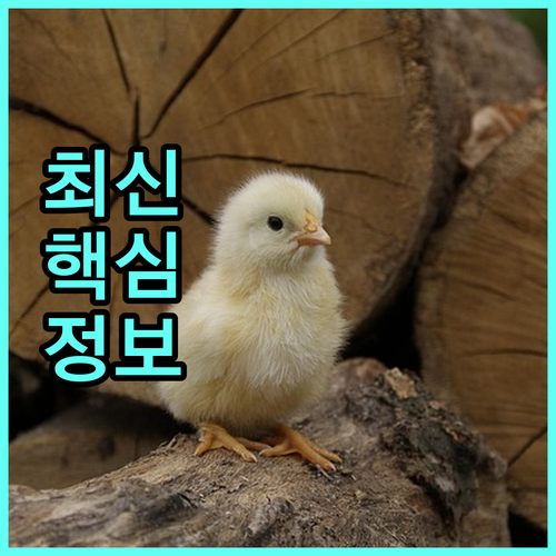 연경동 도시가스 이사? 연결 철거 신청 방법 확인하세요