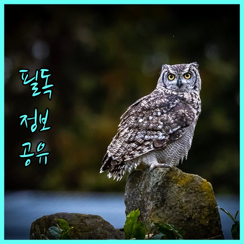 필수 K-ETA 변경 사항: 수수료 인상과 추석 대비