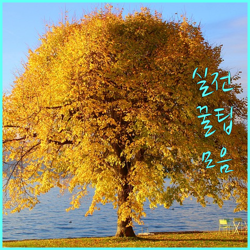 삼성페이 혜택 극대화! 상생페이백과 카드 실적 연동법