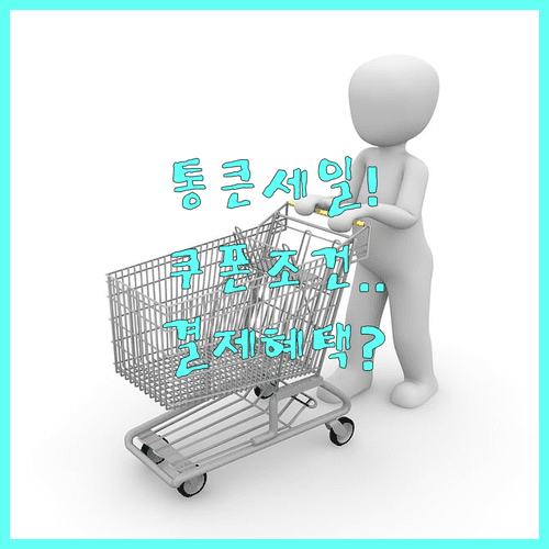 롯데마트 통큰세일 배달 전용 쿠폰 사용 조건과 결제 혜택 정리