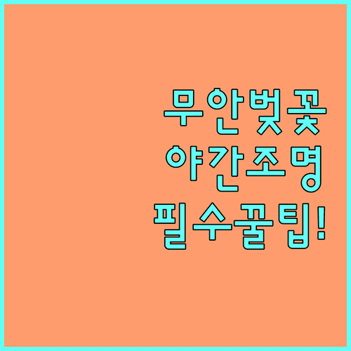 2026년 무안 벚꽃 야간 조명 운영 시간 및 축제 꿀팁