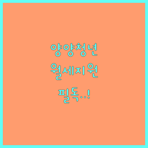 양양군 청년월세지원금 신청 자격과 소득 재산 증빙 서류 안내