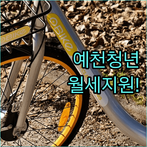 예천군 청년 월세 지원금 신청 방법 및 필수 제출 서류 안내