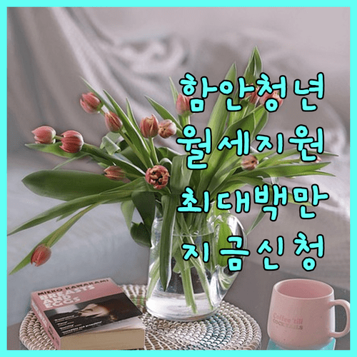 함안군 청년월세 보조금 자격 확인 및 읍면사무소 방문 신청 방법