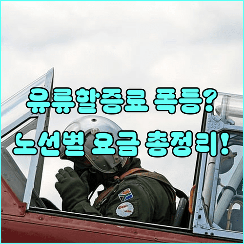 유류할증료 변동 원리와 항공사별 노선 구간 요금표