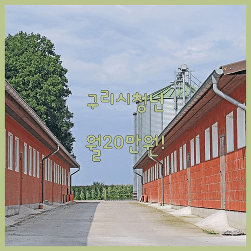 2026 구리시 청년월세지원 조건 및 월 20만원 현금 지급