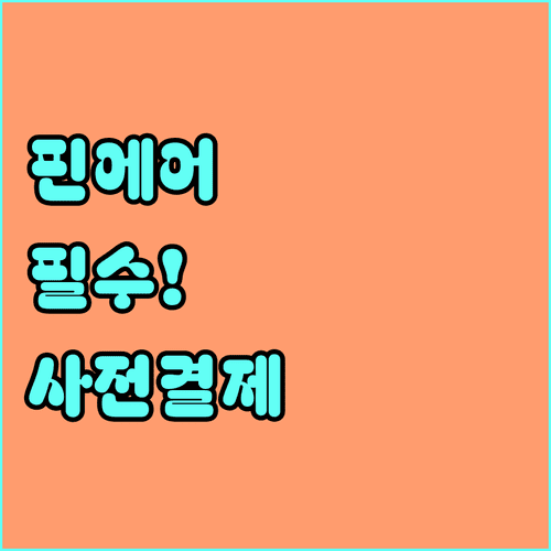 핀에어 초과 수하물 요금 온라인 사전 결제 필수