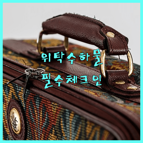 위탁 수하물 있을 때 온라인 체크인 절차 상세 안내