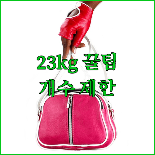 에어차이나 위탁수하물 무게 23kg과 개수 안내