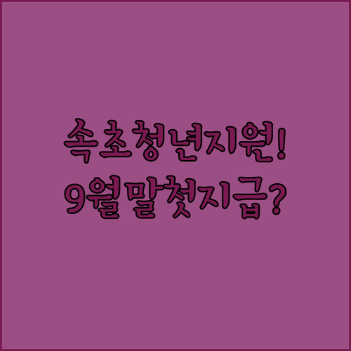 속초시 청년월세지원 2026년 9월 말 첫 지급 일정