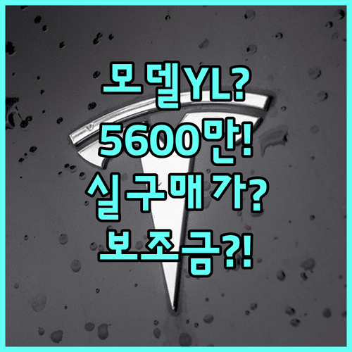 테슬라 모델 YL 가격 보조금 실구매가 5600만원대 총정리