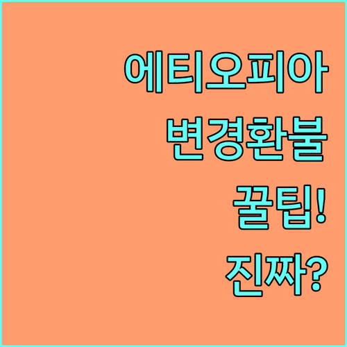 에티오피아항공 공식 홈페이지로 예약 변경과 환불하는 법