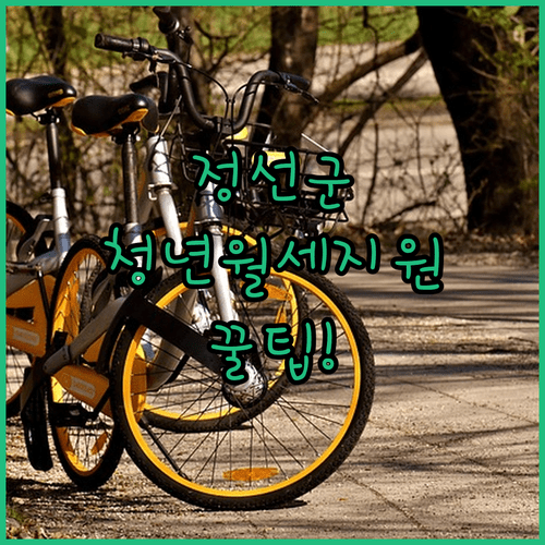 2026년 정선군 청년월세지원 신청 방법과 서류 준비