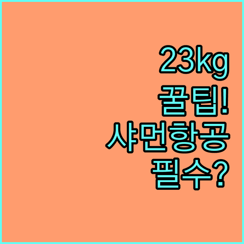 샤먼항공 이코노미석 위탁수하물 23kg 핵심 정보