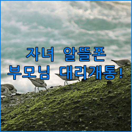 image cb17de47