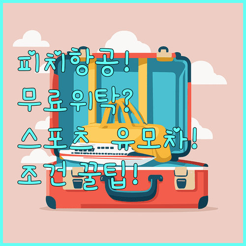 피치항공 위탁수하물 스포츠 용품과 유모차 무료 위탁 조건