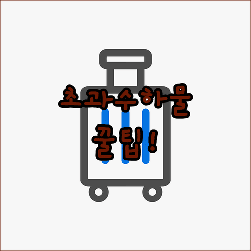 핀에어 위탁수하물 준비 팁 초과 요금 피하는 방법