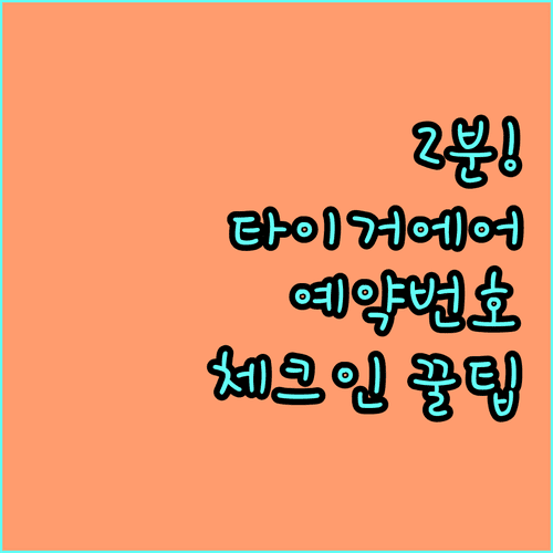 타이거에어 타이완 예약번호로 2분 만에 체크인 완료