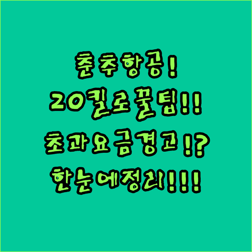 춘추항공 위탁수하물 20kg부터 초과 요금까지 한눈에 보기