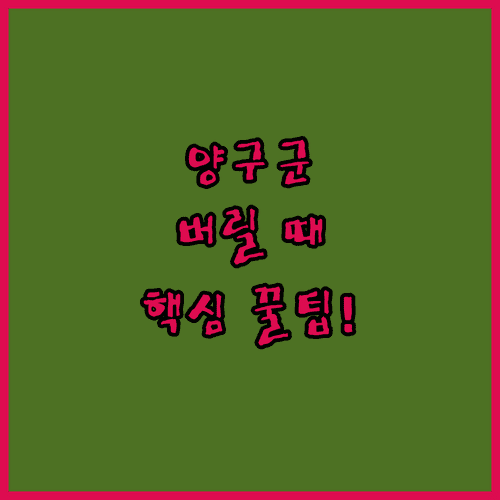 image 2c98734c