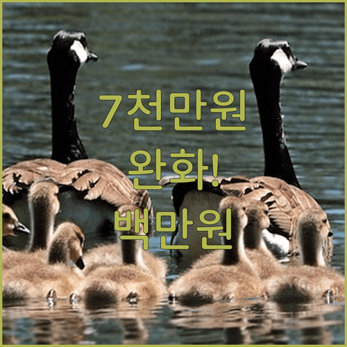 image c386ab91