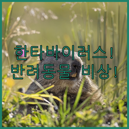 image c7c09ac2