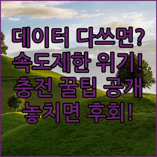image 9e2c95bf