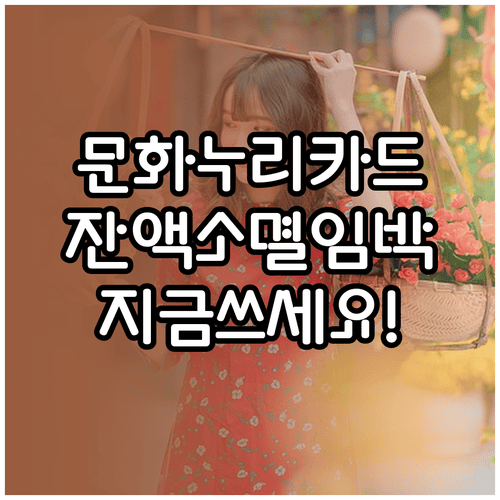 2026년 문화누리카드 잔액 소멸 전 사용 방법