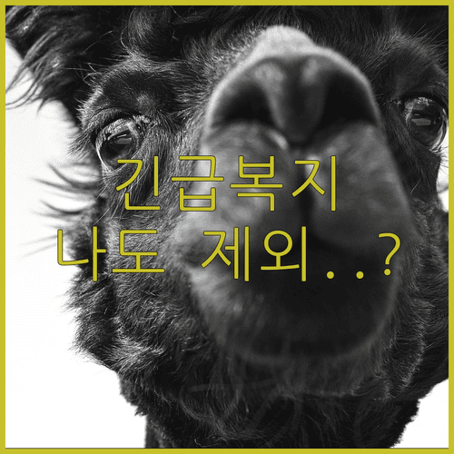 image f4877554